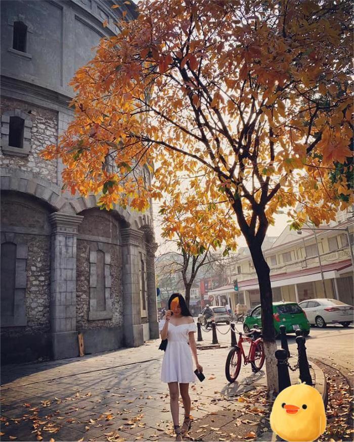 Aura Home Whole French House Hanoi Dış mekan fotoğraf