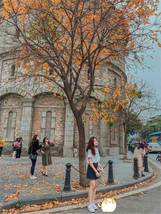 Aura Home Whole French House Hanoi Dış mekan fotoğraf